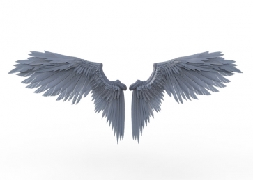 Gray Angel Wings Photography Backdrop Party Background