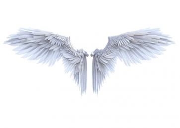 White Angel Wings Backdrop Studio Photography Background