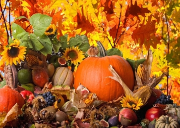 Fall Harvest Thanksgiving Backdrop Party Photography Background