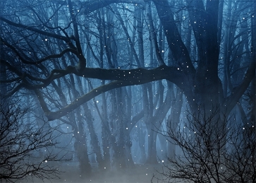 Fog Diffuse Dark Enchanted Forest Backdrop Stage Party Photography Background