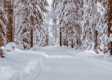 Snow Covered Forest Road Winter Scene Backdrop Christmas Stage Photography Background