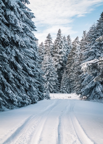 Christmas Snow Covered Forest Winter Scene Backdrop Stage Photography Background