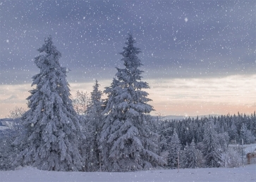 Snowflake Covered Forest Winter Wonderland Scene Christmas Backdrop Stage Photography Background