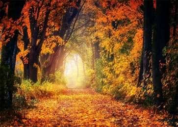 Fallen Leaves Forest Fall Backdrop Studio Portrait Photography Background