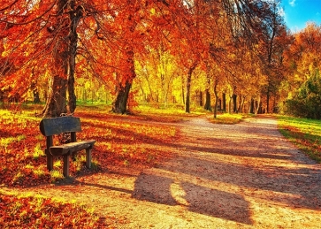 In The Sun Red Maple Leaf Forest Park Fall Backdrop Studio Portrait Photography Background