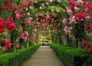 Flower Pergola Corridor Wedding Backdrop Photography Background