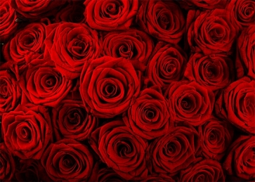 Red Rose Flower Wall Backdrop Valentines Backdrop Wedding Photography Background