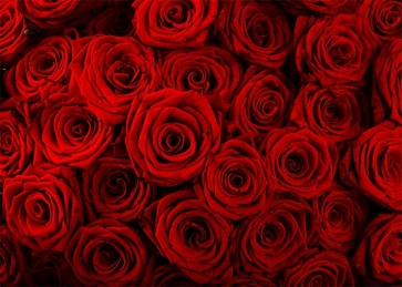 Red Rose Flower Wall Backdrop Valentines Backdrop Wedding Photography Background