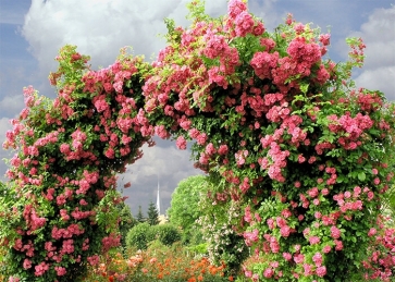 Flower Arch Wedding Backdrop Photography Background