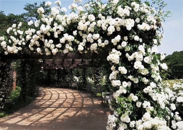 White Flower Pergola Corridor Wedding Backdrop Photography Background