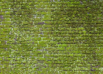 Retro Moss Brick Wall Backdrop Studio Stage Photography Background