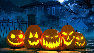 Pumpkin Theme Halloween Backdrop Party Photography Background