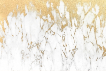 Vintage Gold And White Marble Texture Wall Backdrop Studio Photography Background Prop