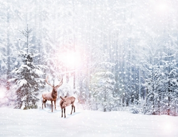 Winter Snowflake Wonderland  Christmas Backdrop tage Photography Background Decoration Prop