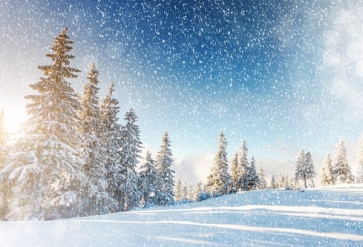 Winter Forest Snowflake Wonderland Christmas Backdrop Stage  Photography Background Decoration Prop
