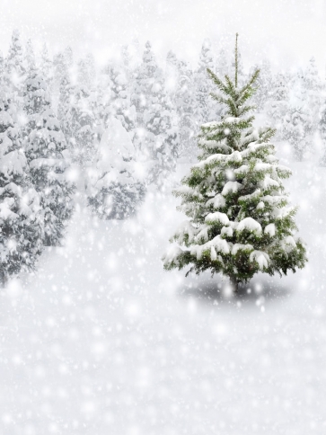Snowflake Christmas Tree Backdrop Photo Booth Stage Photography Background Decoration Prop