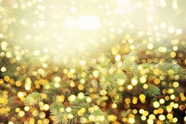 Gold Glitter Christmas Tree Branches Decoration Merry Christmas Backdrop Photo Booth Photography Background Prop