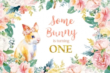 Some Bunny Is One Backdrop Happy Birthday Photography Background Decoration Prop