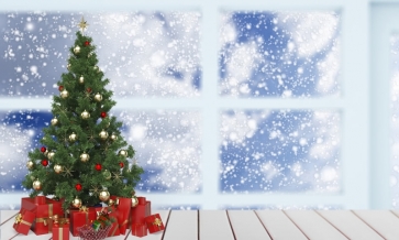 Outside Glass Window Snowflake Flying Christmas Tree Backdrop Party Stage Photography Background