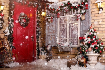 Snowflake Window Doorway Christmas Backdrop Photo Booth Stage Decoration Photography Background