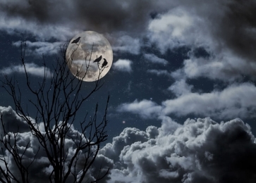 Scary Night Full Moon Crow on Tree Branch Halloween Party Backdrops