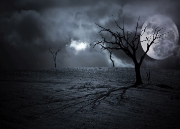 Scary Dark Night Moon Withered Tree Halloween Photo Backdrops
