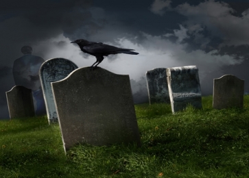 Scary Night Cemetery Crow Halloween Themed Party Background Backdrops