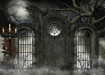 Gothic Vampire Themed Scary Halloween Photo Backdrops