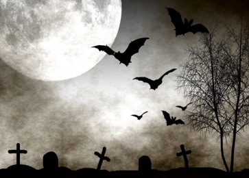 Scary Night Moon Bats Cemetery Halloween Party Backdrop Background