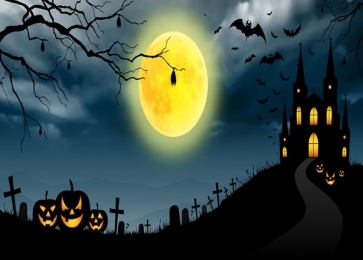 Scary Night Moon Skull Pumpkin Castle Halloween Themed Party Background Backdrops