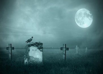 Scary Night Crow Cemetery Full Moon Halloween Party Backdrops Background
