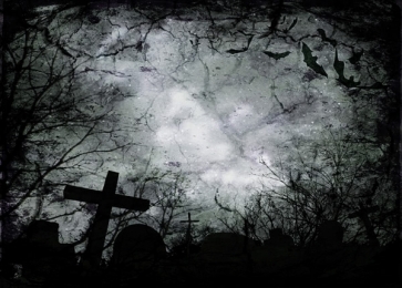 Scary Night Cemetery Bats Halloween Party Photo Backdrop Background