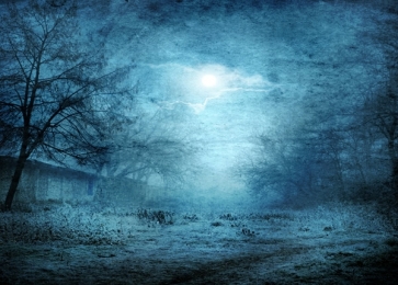 Horrible Wilderness Halloween Party Decoration Studio Background Backdrops