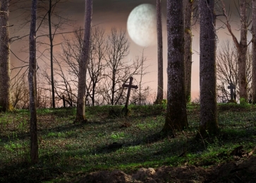 Scenic Midnight Moon Cemetery in Woods Halloween Photo Background