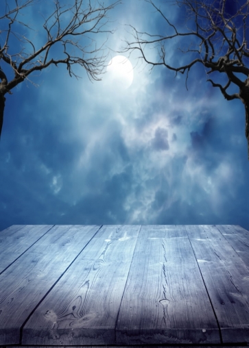 Scenic Full Moon Withered Tree Branch Wood Floor Halloween Backdrops