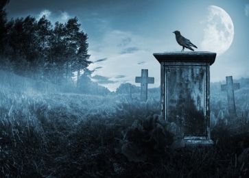 Scary Night Moon Crow Cemetery Halloween Party Decoration Background