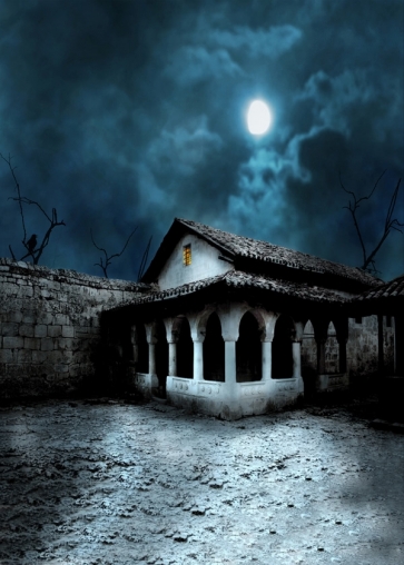 Scary Night Old Shabby House Crow Halloween Photo Backdrops