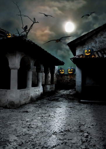 Halloween Pumpkin Lanterns Crow Old Shabby House Studio Photo Background