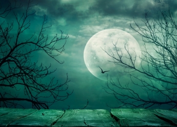 Full Moon Withered Trees Crow Night Halloween Photo Backdrops