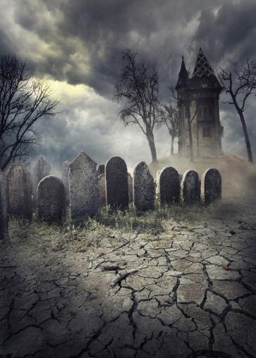 Cracked Land Tombs Cemetery Ghost Castle Halloween Party Photo Backdrops