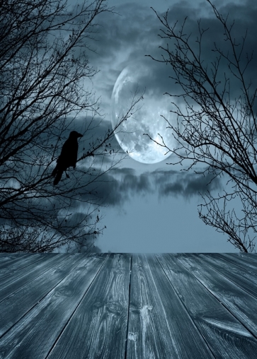 Scary Night Crow on the Withered Trees Wood Floor Halloween Party Photo Background