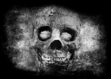 Horrible Skull Picture Halloween Party Background Backdrops