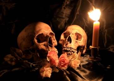 Horrible Skulls Flowers Candle Halloween Photo Backdrops