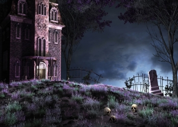 Scary Night Ghost Castle Skulls Cemetery Halloween Party Background Photo Backdrops