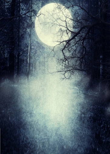Scenic Horrible Night Full Moon Woods Studio Background for Halloween Party