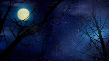 Under The Moon Spider Web Halloween Backdrop Party Background Decoration Prop