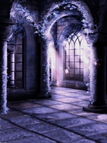 Middle Ages Castle Indoor Halloween Photo Backdrop Party Background Decoration Prop