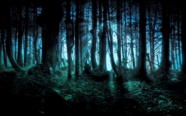 Scary Black Forest  Halloween Photo Backdrop Party Photography Background Decoration Prop