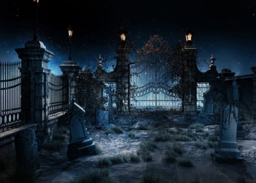 Scary Night Old Shabby Cemetery Halloween Themed Party Backdrop Background
