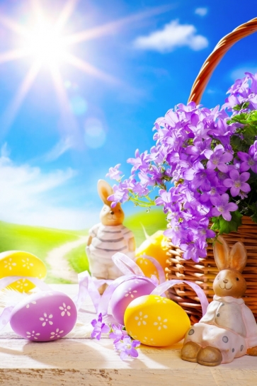 Easter Eggs Bunny beside Flower Basket Photography Studio Easter Background